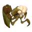 Shieldbug