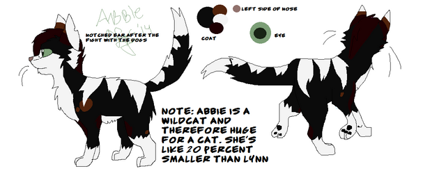 File:Abbieref.png