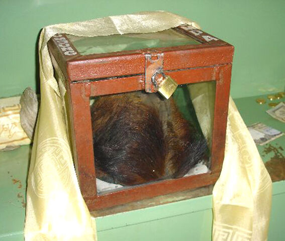 File:Yeti scalp.jpg