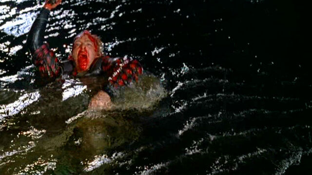 File:Alligator2 12.jpg