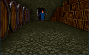 Bootleg room entrance