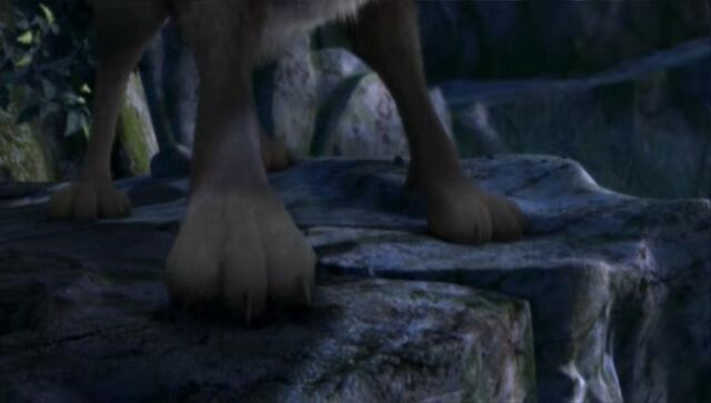 File:Hutch's paws.jpg