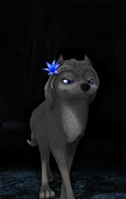 File:Me holly 5.jpg
