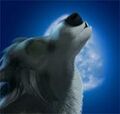 Thumbnail for version as of 04:14, December 10, 2011