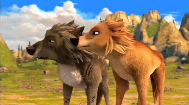 File:Wolves-from-other-packs-alpha-and-omega-17957907-688-384.jpg