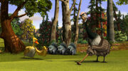 44692000001 609475435001 AOGolf-lio-c