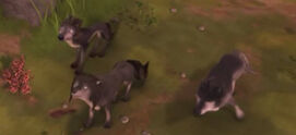 Rogue wolves