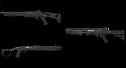 APShotguns