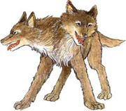 LascertWolf