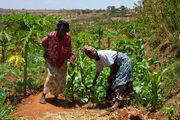 Women smallholder farmers in Kenya