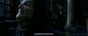 Tumblr lizc30M4pF1qbi0koo1 500