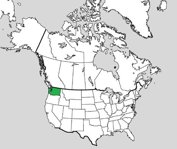 File:Wcs-washmaphist.png