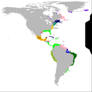 1540 - Americas
