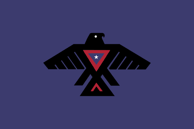 File:AmericanFascistFlag.png