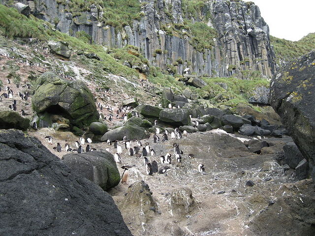 File:Articcc.jpg