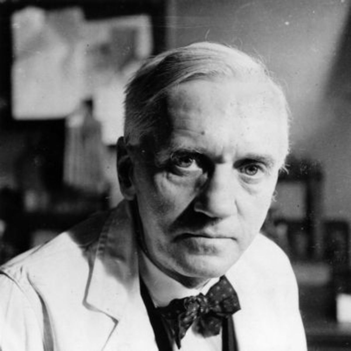 Datei alexander flemming jpg alternativgeschichte wiki fandom
