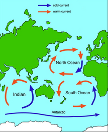 Map-of-ocean-gyres-0