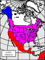 Noamer1815