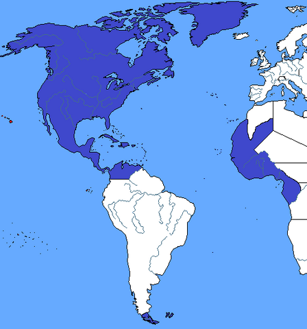 File:US TFCN.png
