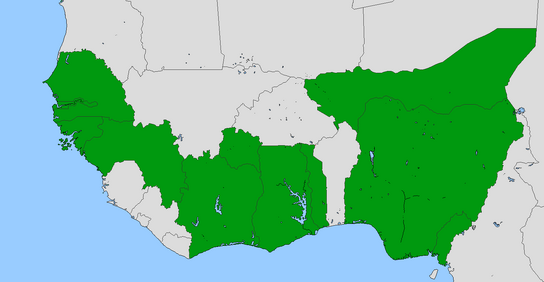 File:WAU.png
