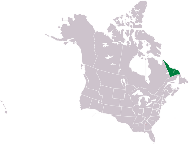 File:CNA labrador.png
