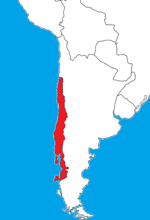 Southchileger.png-0.png
