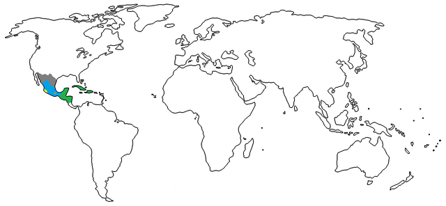 File:1350 A.D..png