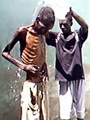 Zimbabwe Dissidents Starvation