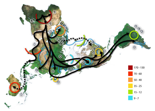 File:Map-of-human-migrations.jpg