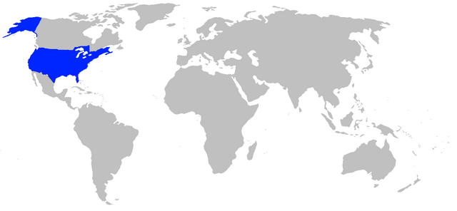 File:Usa bg.png