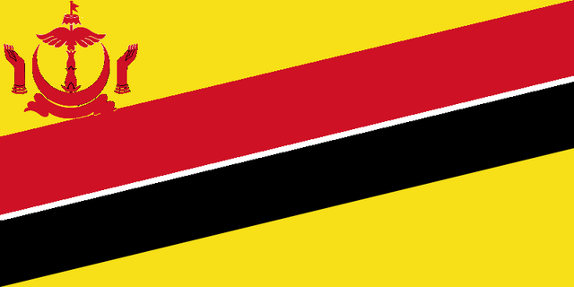 File:Flagbrunei.png
