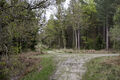 Thumbnail for version as of 05:24, November 18, 2011