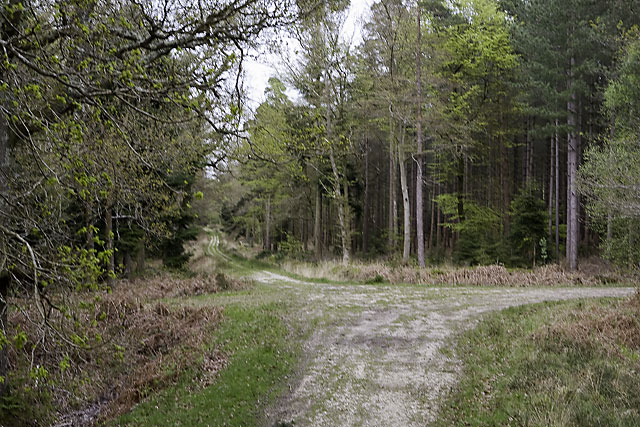 File:AVAR Maastricht wood.jpg