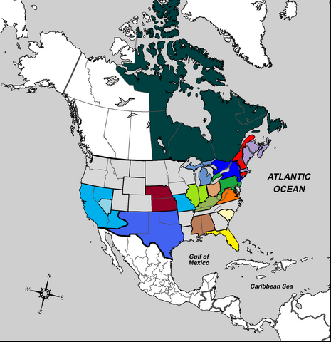 File:SOA5 Map 11.png