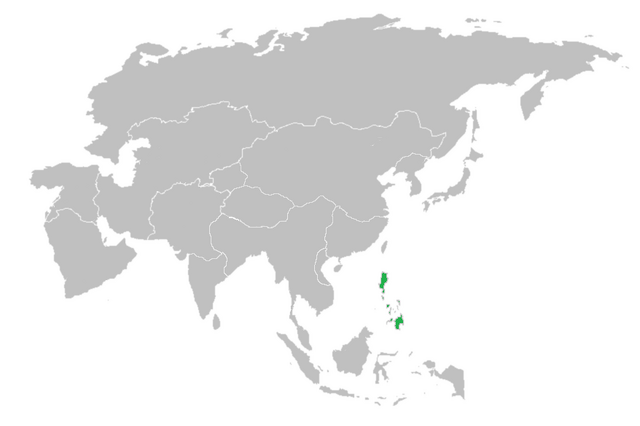 File:Fifth Burmese Nation Philippines.png