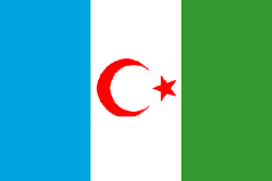 Flag of Turkestan