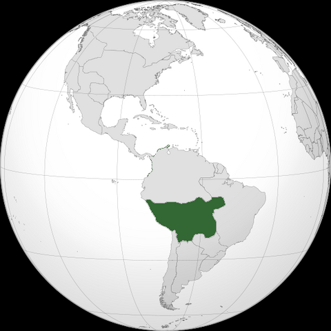 File:Reppe.png