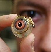 Auge.jpg