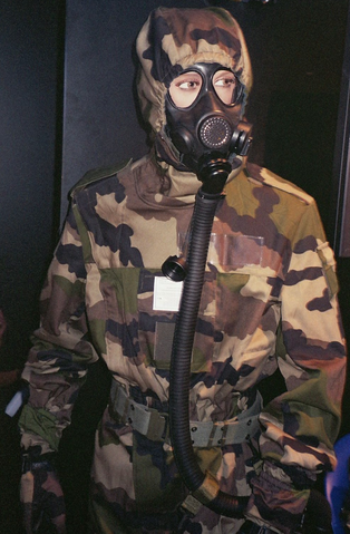 File:Zombies2010 GasmaskFrance.png