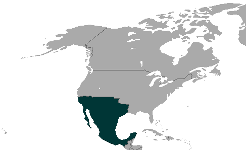 File:Mexico (1945-1990).png
