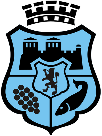 File:Coat of arms of Vidin.png