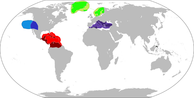 File:LCTurn5.png