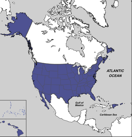 File:US States.png