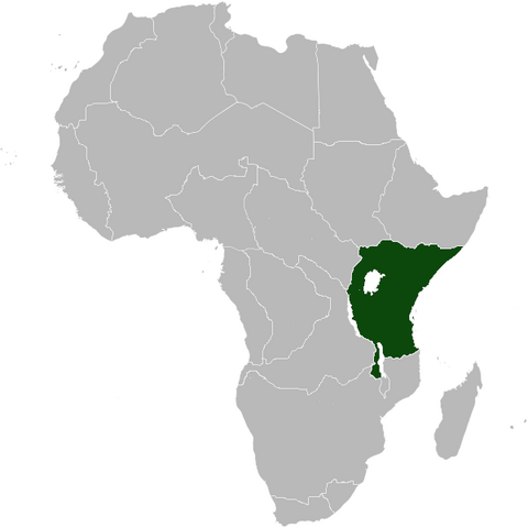 File:Zanzibar Africa NW.png