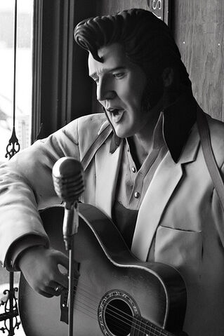 File:A deep dive into the wonders of Skellville- Elvis!.jpg