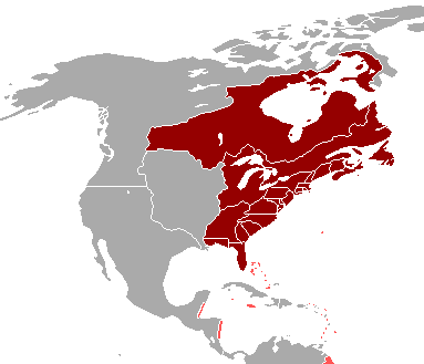 File:British America.png