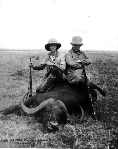 File:Teddy-with-Buffalo.jpg