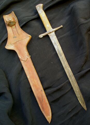 File:Spanish Bayonet.jpg