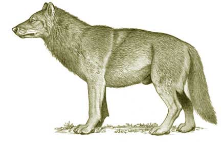 File:Fenrir.jpg