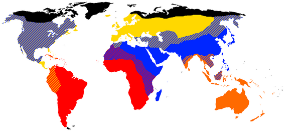 Neanderthal